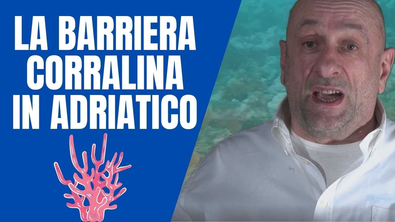 E' stata scoperta la barriera corallina in Adriatico