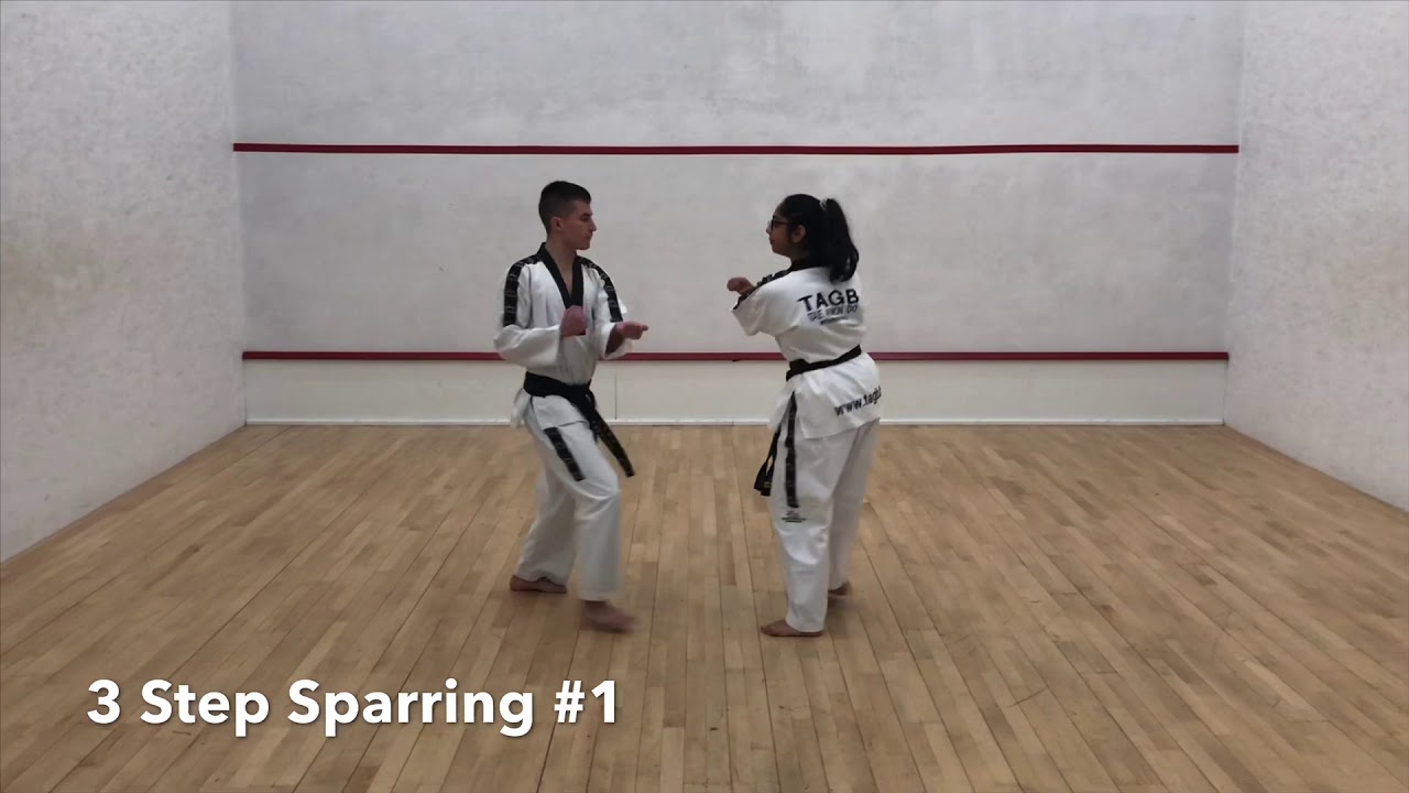3 Step Sparring 1-4