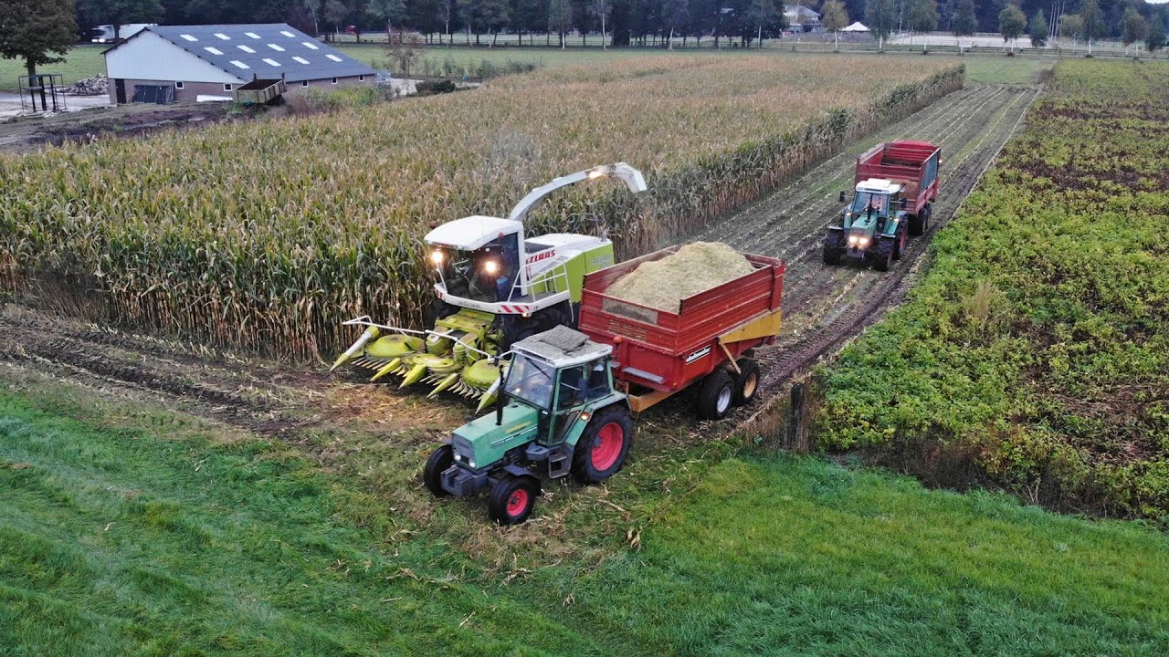 Mais Silage | Claas Jaguar 870 + Fendt's | Donkersteeg | 2021
