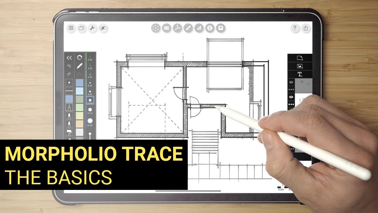 Введение в Morpholio Trace: основы