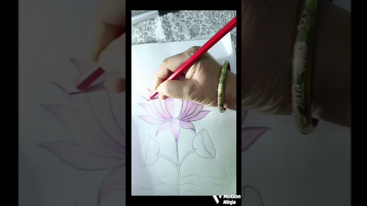 Colouring in lotus 🪷 with pencil colour 
