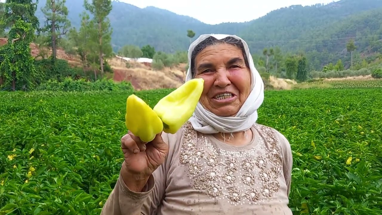 Denizli Kale ilçesinin meşhur biberi 