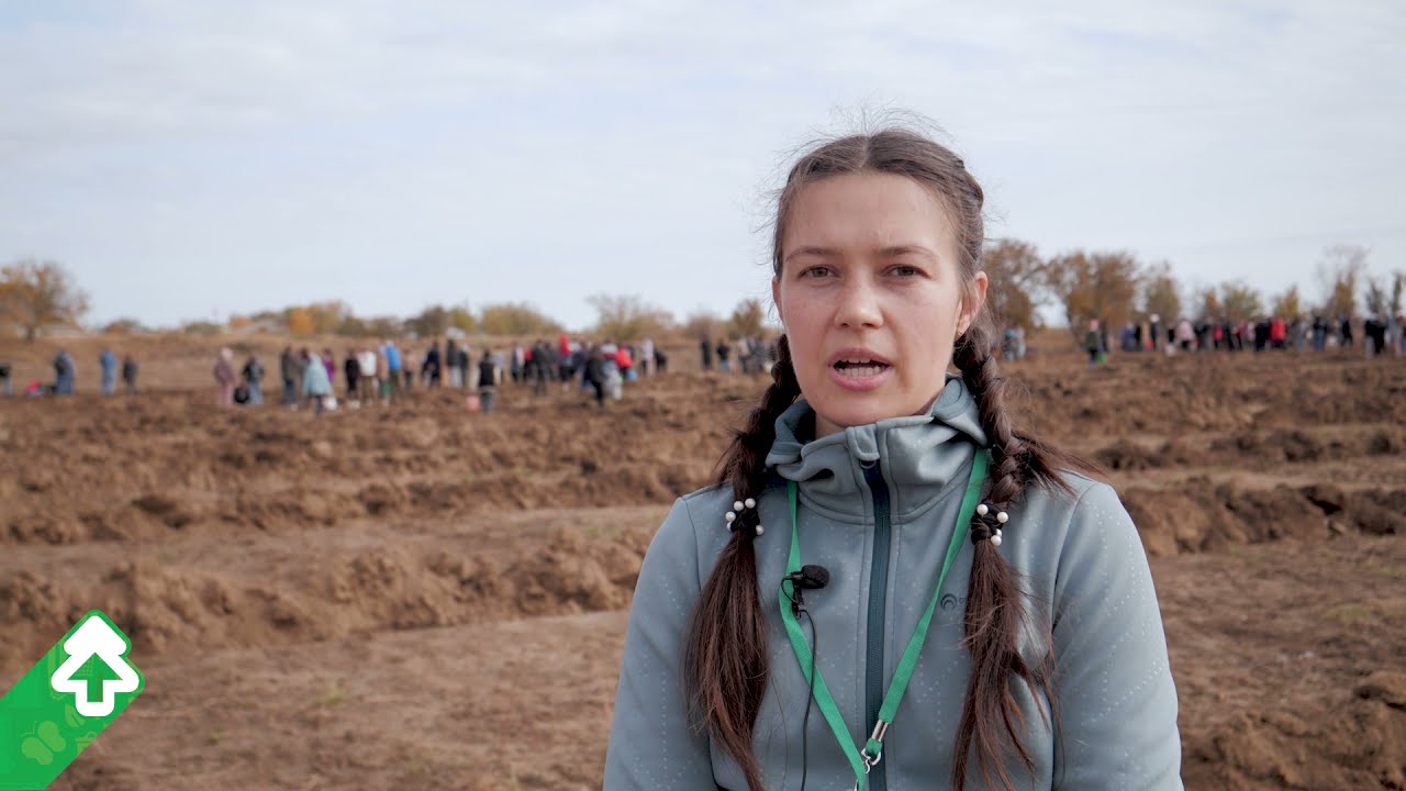 Посадка леса в Саратовской области (Александров Гай) 16 октября 2021 года