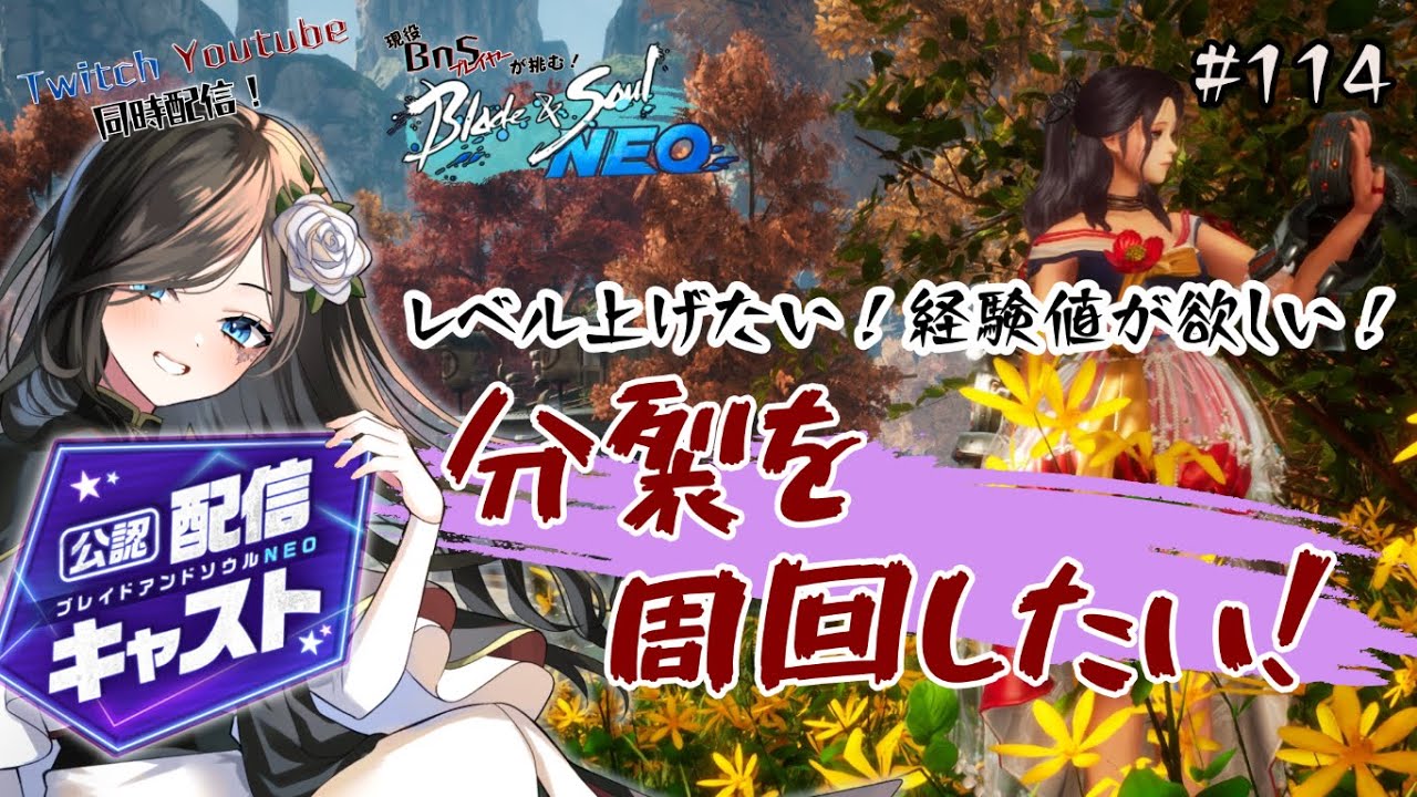 【#ブレイドアンドソウルNEO】現役ブレソ武人が挑む！ブレソネオ！#114【#Blade&SoulNEO】