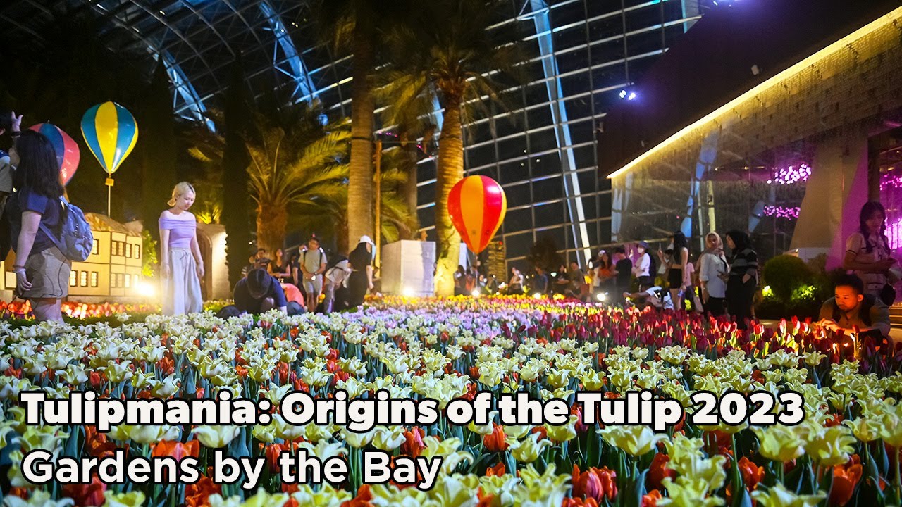 Tulipmania: Origins of the Tulip | Gardens by the Bay