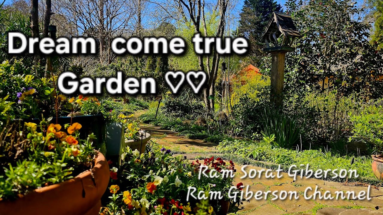 Dreams, Gardening with nature ✨️ came true, filled with colors and textures,March/12/26