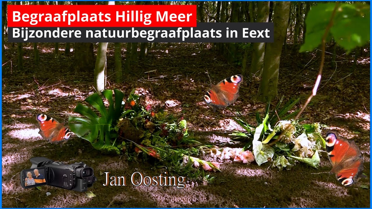 Natuur begraafplaats Hillig meer