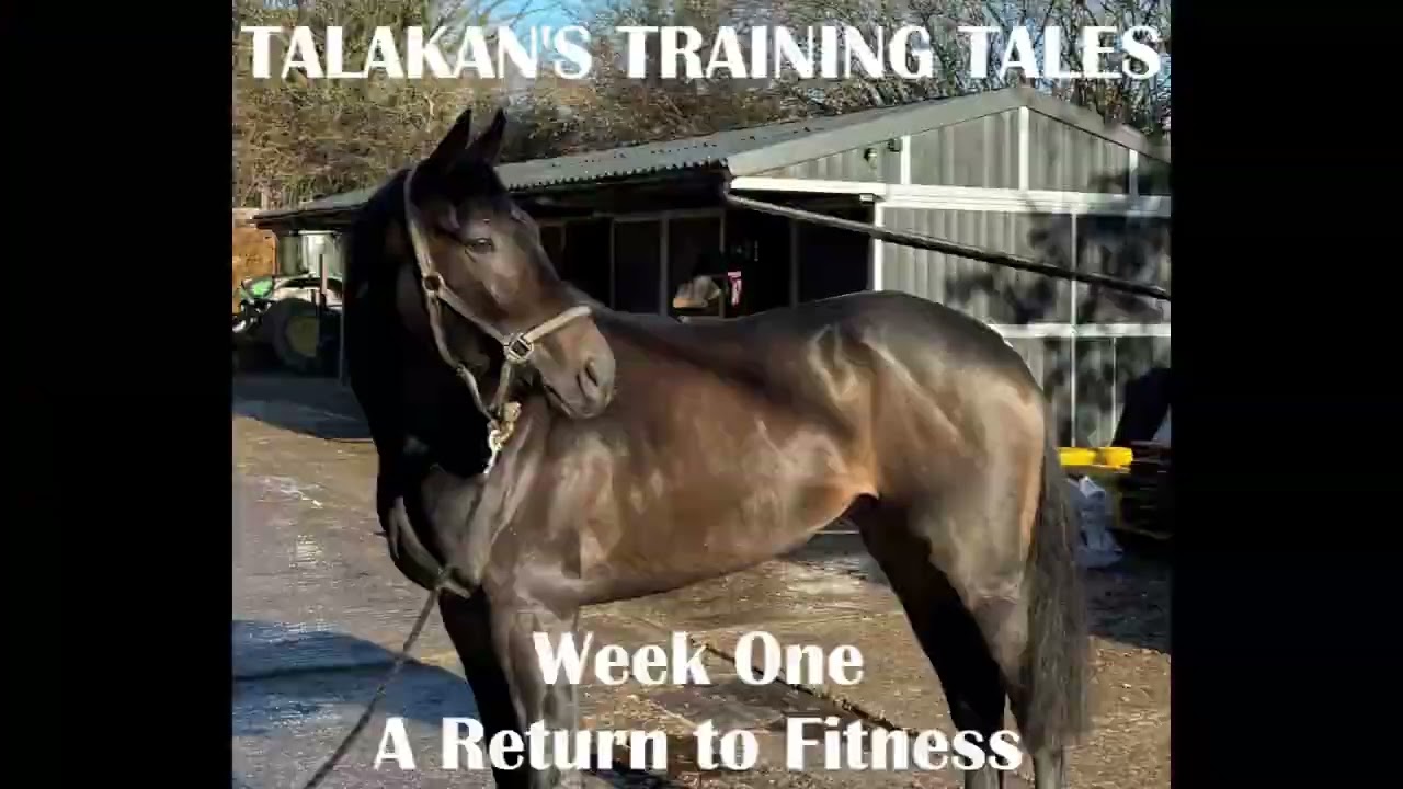 Talakan's Training Tales Week One