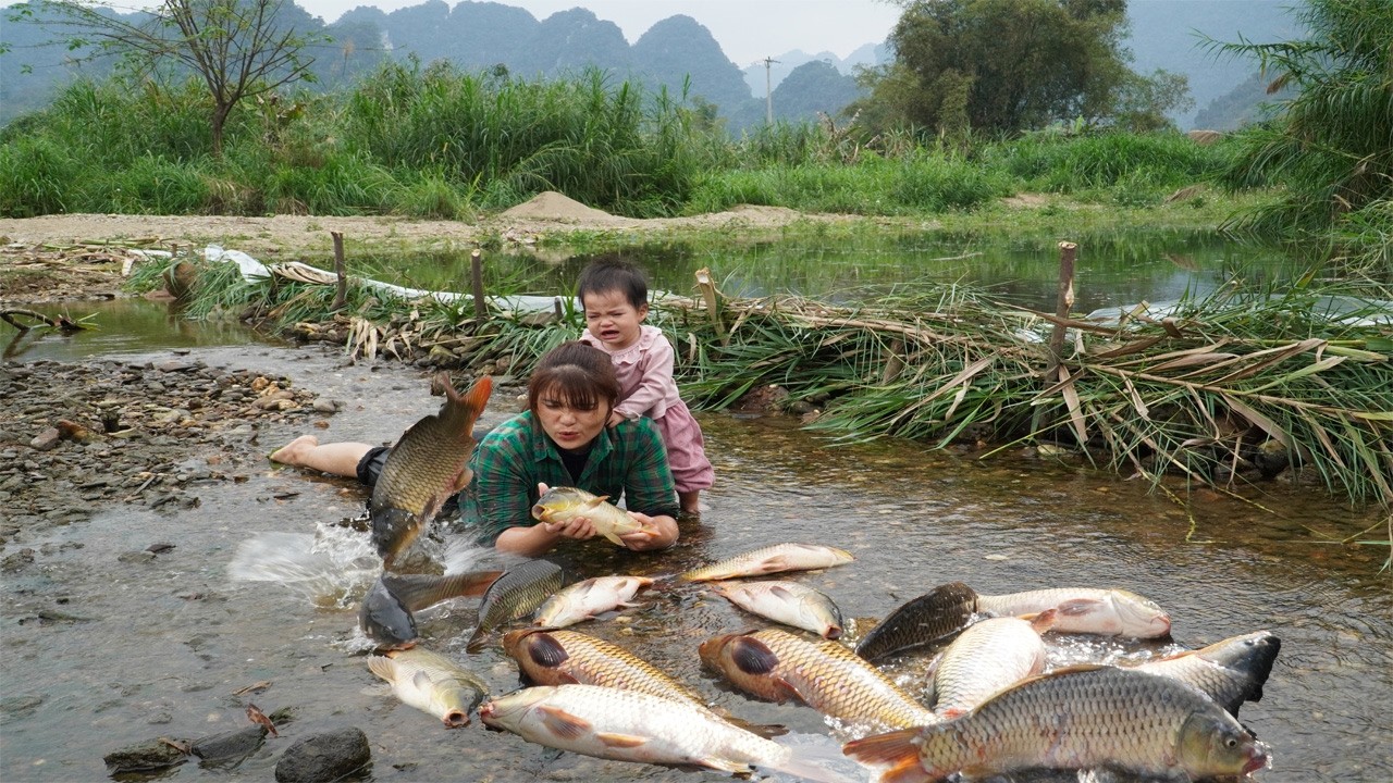 The young woman discovered that blocking a large branch of a river had trapped a huge school of fish