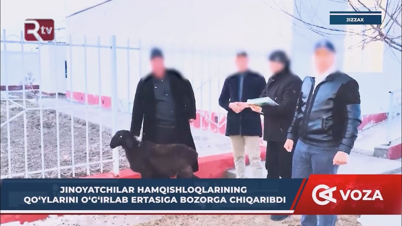 Jinoyatchilar hamqishloqlarining qoʻylarini oʻgʻirlab ertasiga bozorga chiqaribdi (Jizzax)