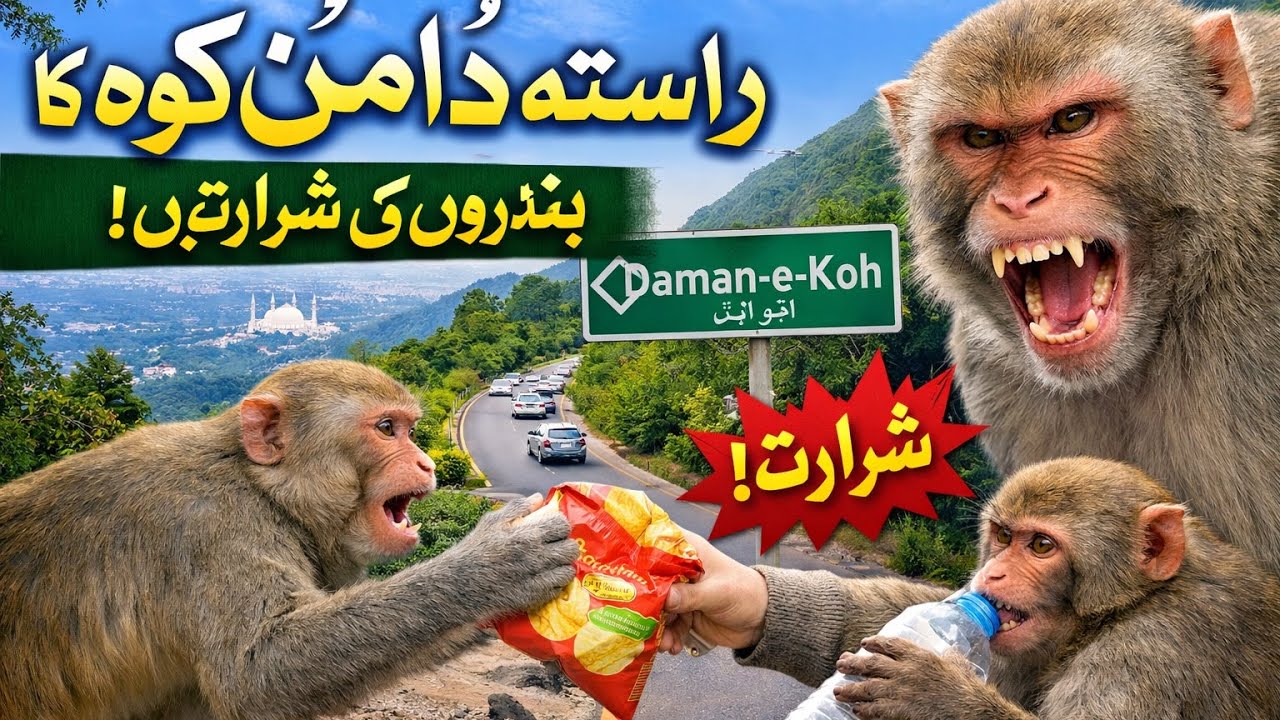 part.1.Damene Koh Ky Badron Ne Kiya Logon Ko Tang Boht Hi Mazay Ka Vlog 😜😂