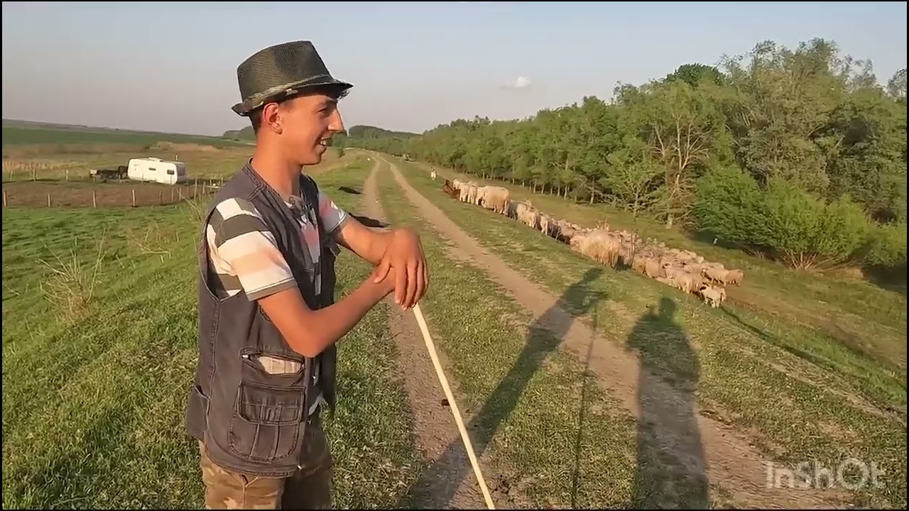 OILE BĂLĂ A DL BADILA.PE MALUL DUNARI .PIETROSANI .TELEORMAN