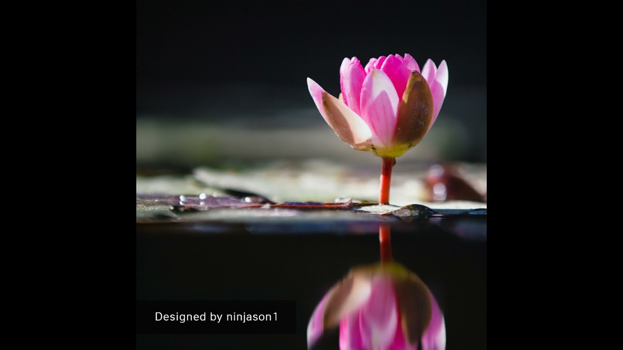 Heal from the Inside Out series #35: The Power of Thought. Just Because Someone Else Experienced ...