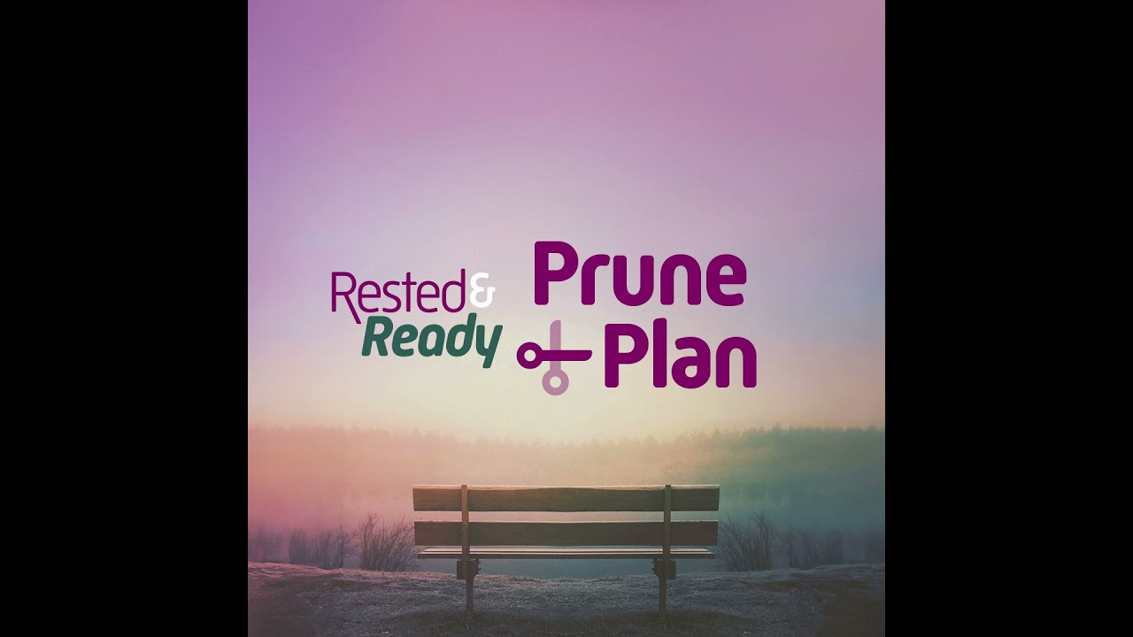 Prune and Plan