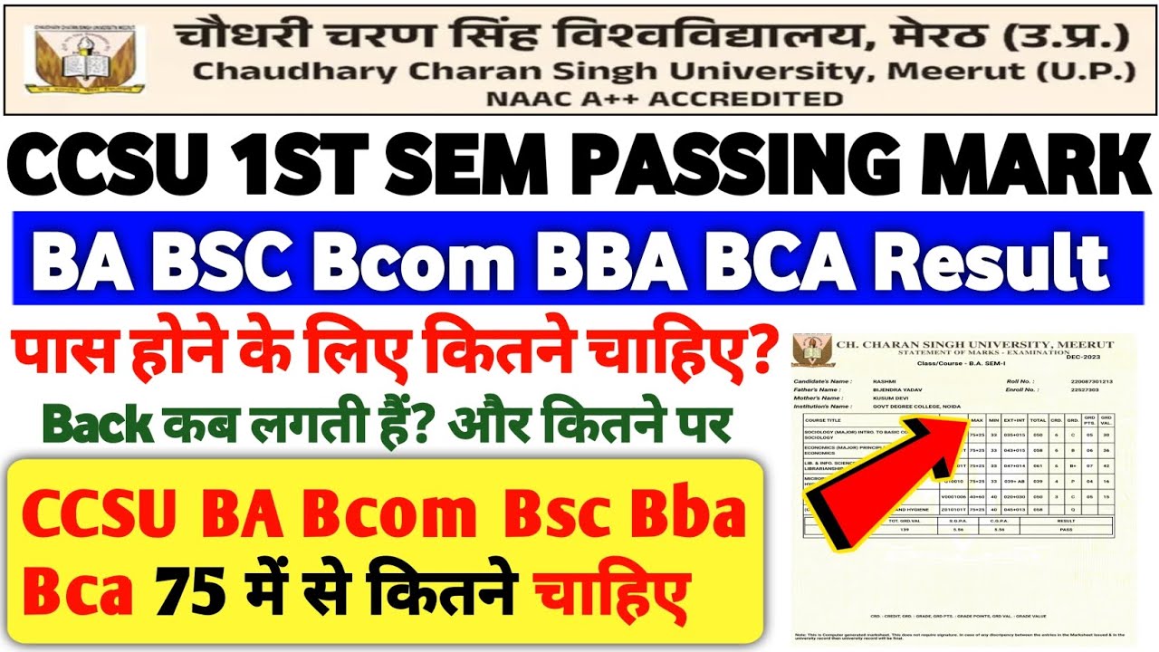 How to Check Result 2025 | BA Bsc Bcom BBA Bca Semester Result | #ccsu​