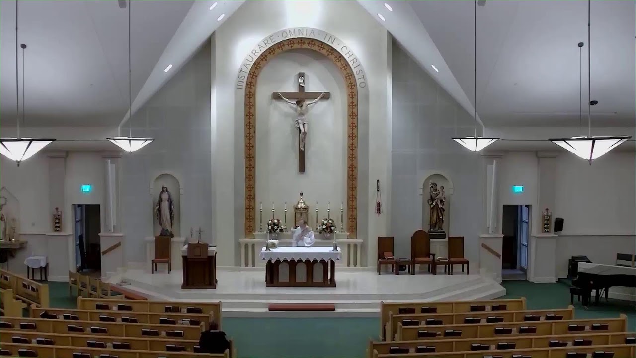 Daily Mass and Adoration