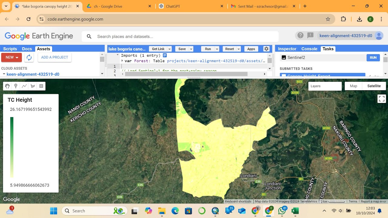 FOREST CANOPY HEIGHT ESTIMATION & TREE COVER ESTIMATION