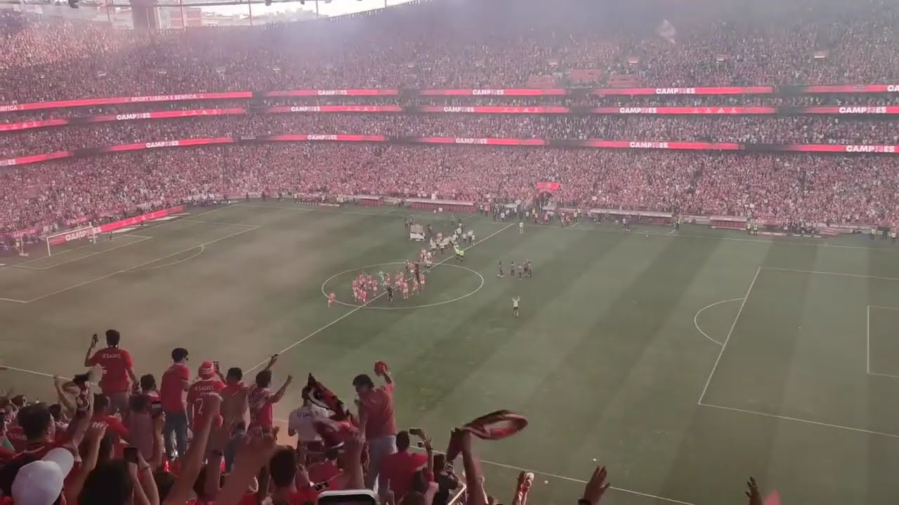 Benfica Champions of Portugal 2023. One of the greatest football clubs in the world. BREATHTAKING !