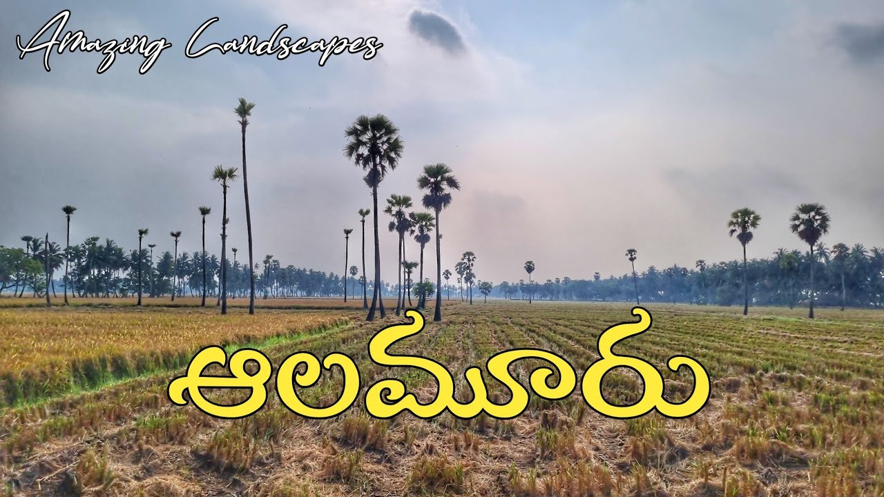 Alamuru Village Nature, West Godavari | Telugu Countryside
