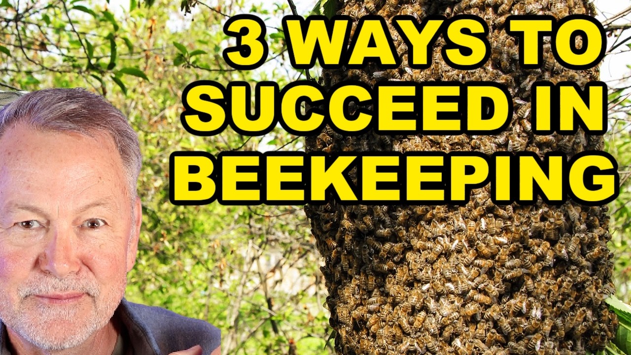 Beekeeping Livestream Feb 12, 2026