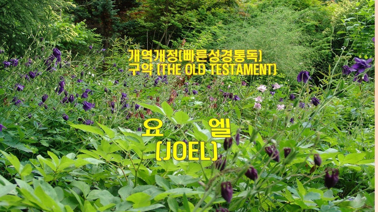 (개역개정 성경)_요엘