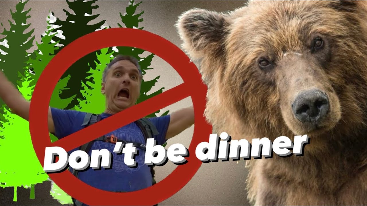 Hiking in Bear Country | Safety Tips