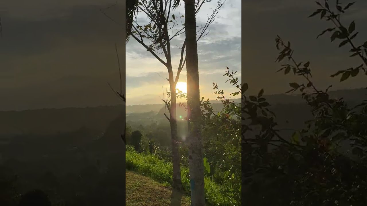 WALKING IN THE HIGHLANDS IN DAVAO CITY | PHILIPPINES