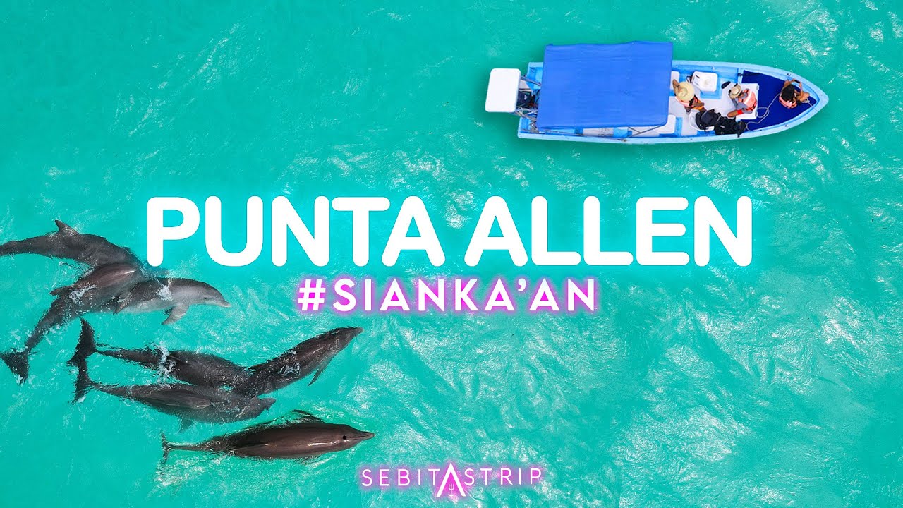 🌎🧜‍♂️ PUNTA ALLEN SIAN KAAN | tour Desde cancun TODO INCLUIDO | @sebitastrip
