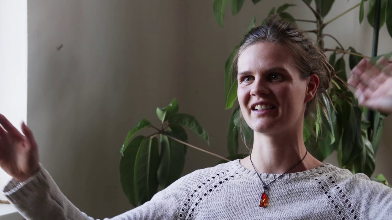 Mit Begeisterung lernen - Freie Naturschule MSE