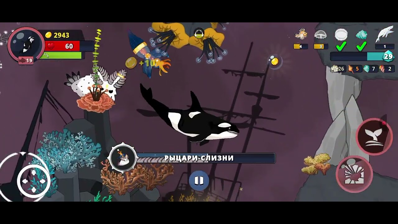 KEIKO VS SIZU And ANGELOS Fish Royale