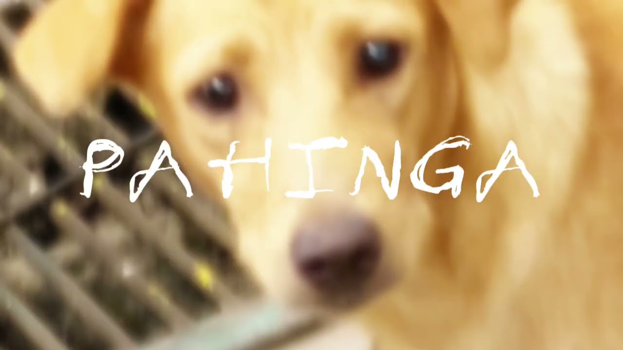 AALAGAAN - John Rondina (Official Music Video)