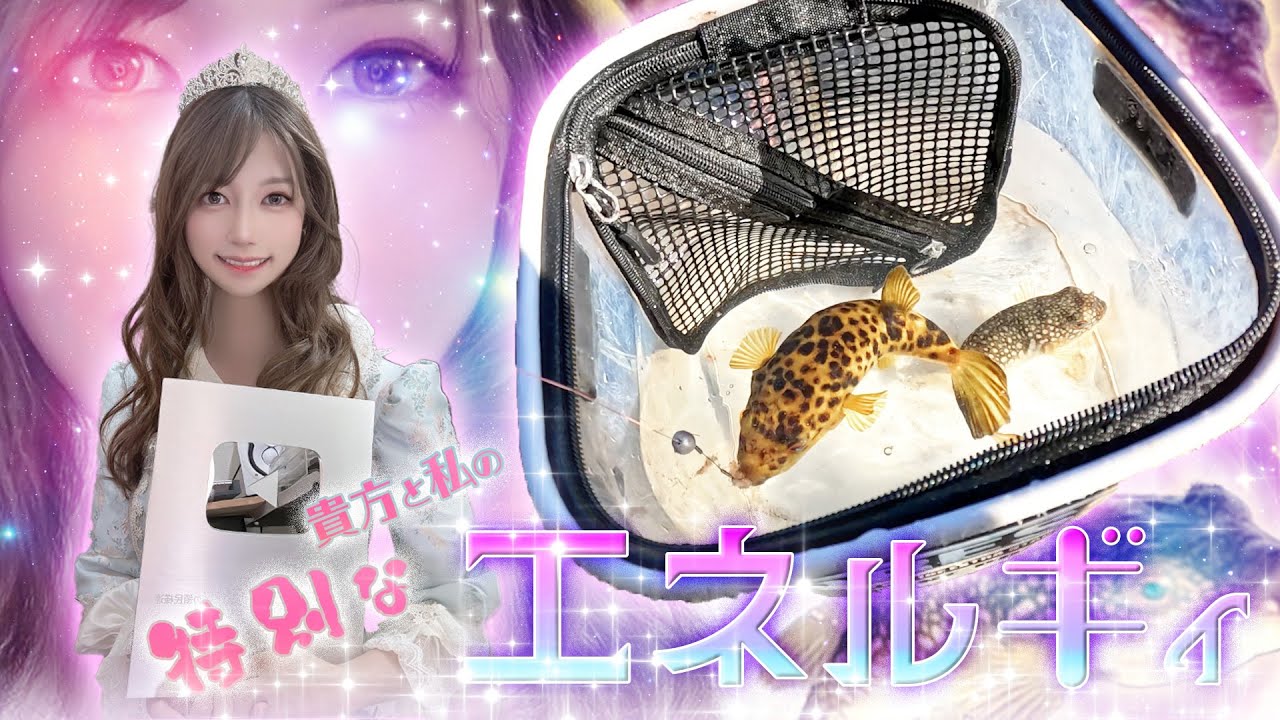 心に効くフグ【073杯目】#フグパーティー