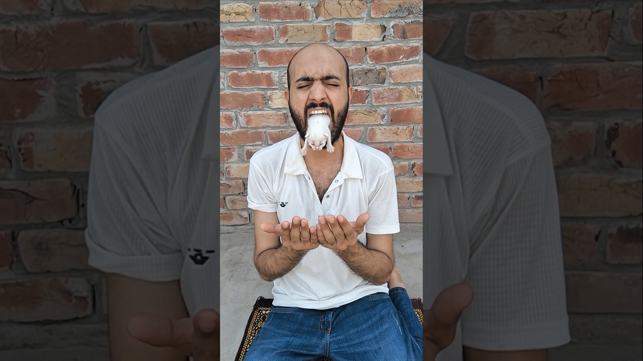 Allah Will Provide 🤲 #ytshorts #news #prayer #today #trending #emotional #shorts