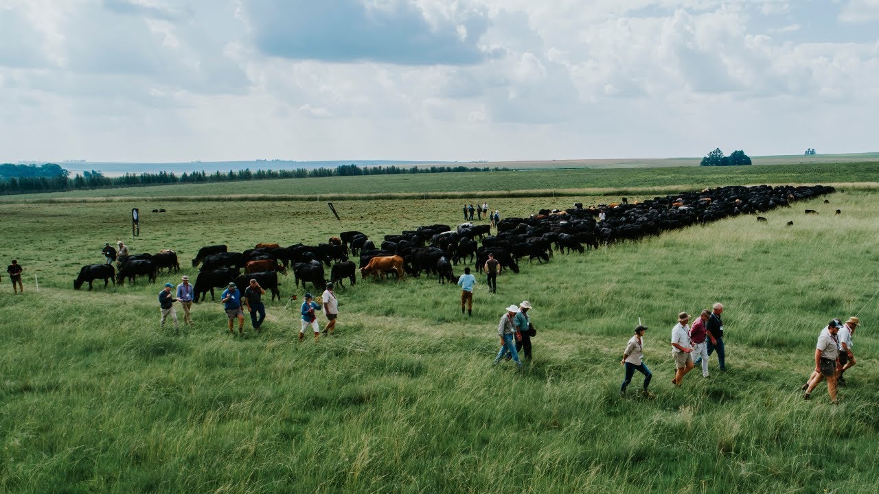 Landbouweekblad-herlewingskonferensie 2025