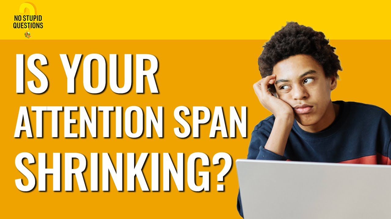 220. Is Your Attention Span Shrinking? | No Stupid Questions