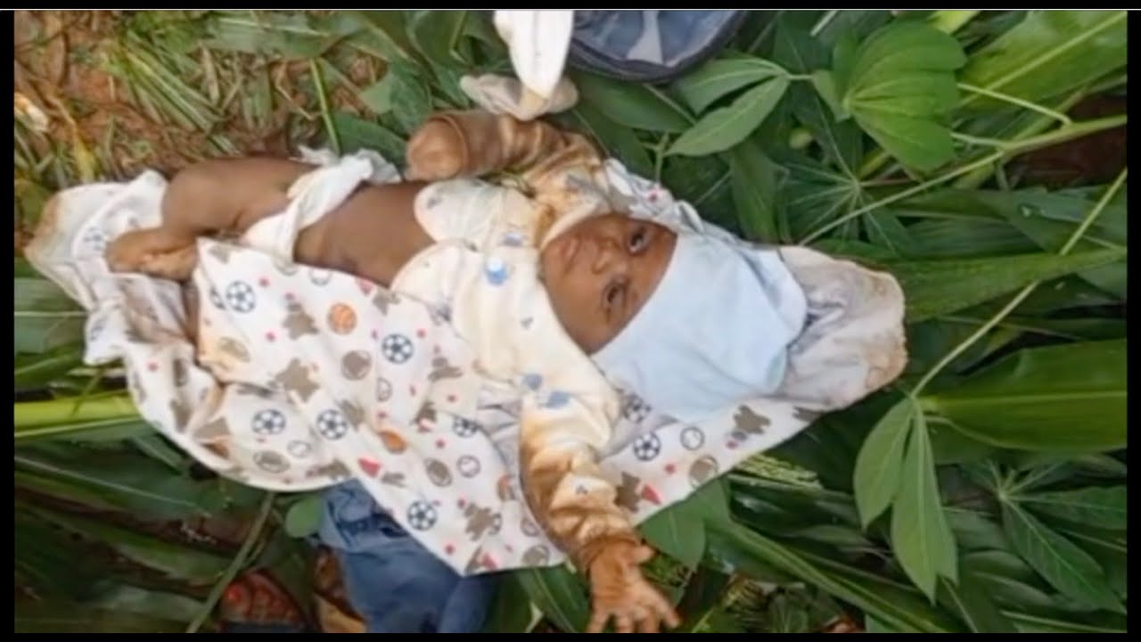 YAOUNDÉ: UN NOURRISSON ÂGÉ DE DEUX MOIS A ÉTÉ RETROUVÉ LAISSÉ À L'ABANDON DANS UN CHAMP DE MAÏS ETV