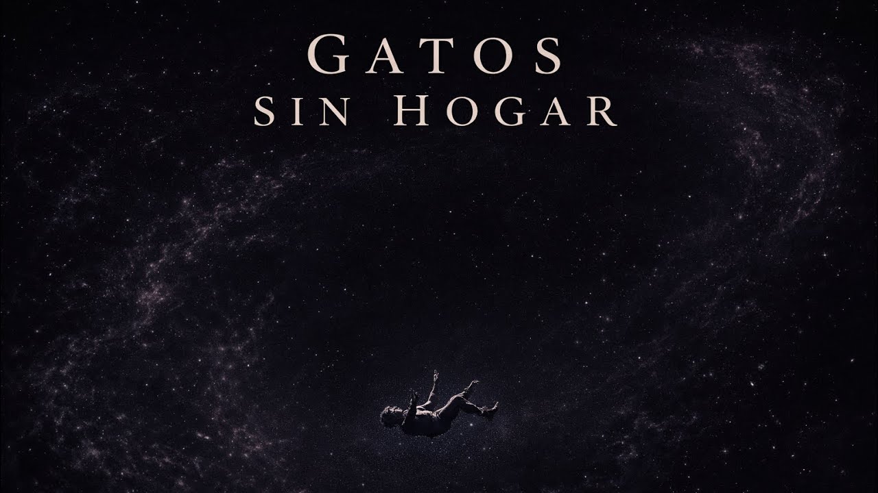 Gatos Sin Hogar