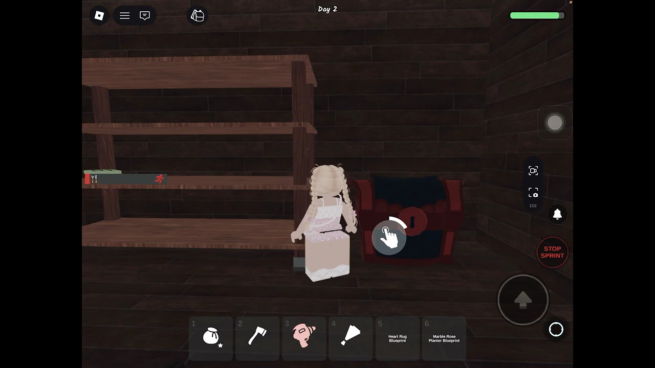 Got ruby chest on DAY 2!!!!