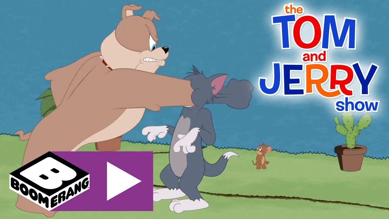 The Tom and Jerry Show | A Treehouse Divided | Boomerang UK