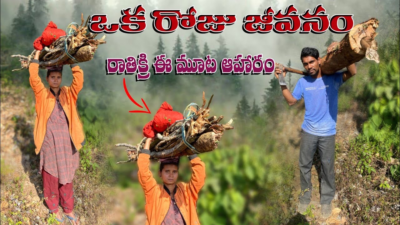 ఈరోజు మా జీవనం రాత్రికి ఈ ముటే మా ఆహారం _tribal vlogger appu