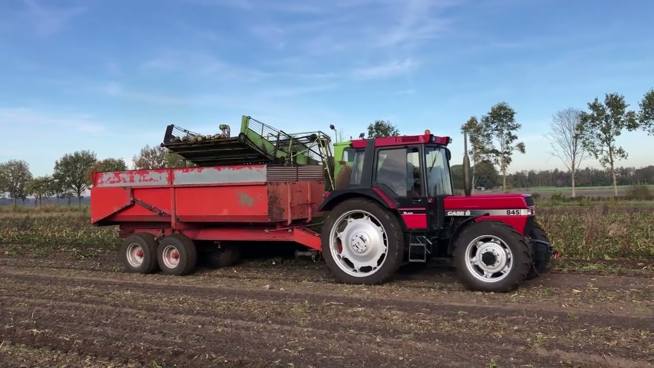 Oldtimerbietenrooien met zelfrijdende 2 rijige Stoll S 210, Kleine Automatic 5000 en Stoll C45