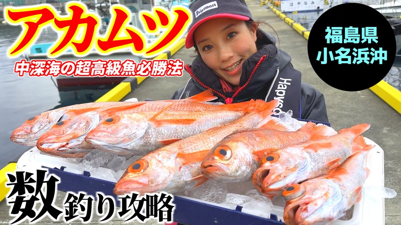 【アカムツ釣り】巨大アカムツが爆釣㊗️ちーちゃん竿頭！小名浜沖最盛期の釣り方攻略/丸三丸/ノドグロ