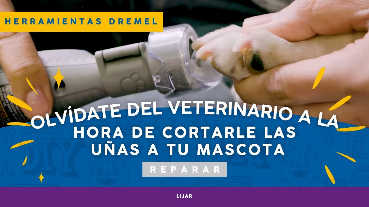 Dremel 7300 Pet Gromming | &iquest;C&oacute;mo utilizar el aditamento para cuidar de un&atilde;s de los pets?