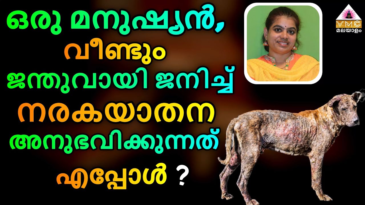 THE DIFFERENT WAY OF LAW OF KARMA || SEEMA SUBASH || VMC MALAYALAM ||