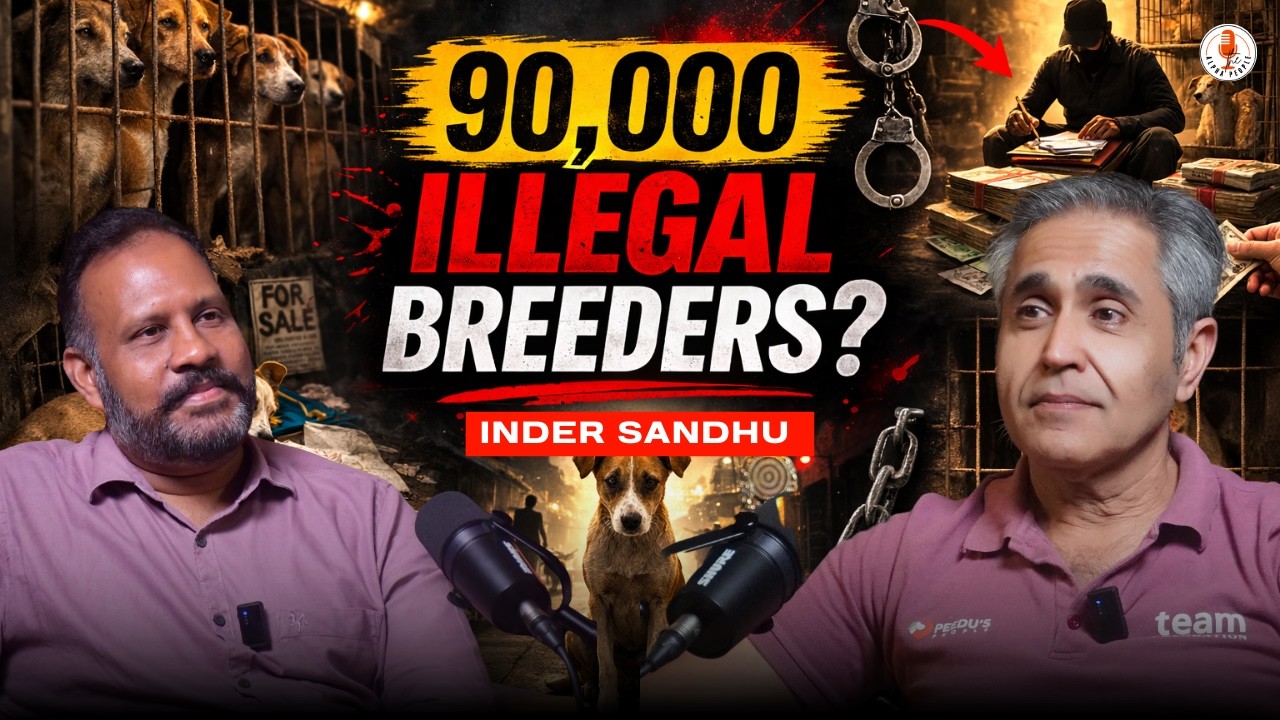 Why Stray Dogs Attack! | The Dark Secret of the Indian Dairy Industry & Illegal Breeding Exposed!