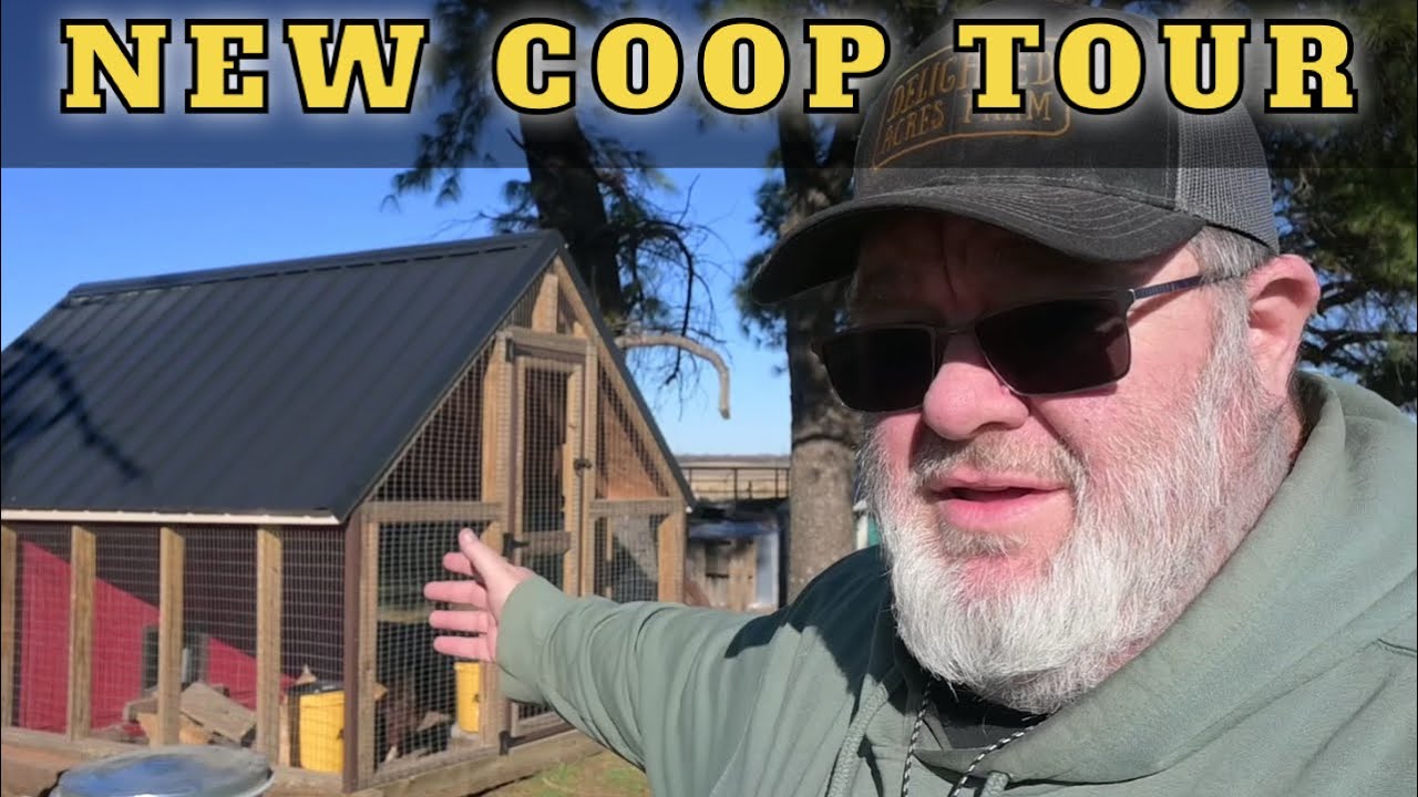 Take A Tour Of Our New Chicken Coop