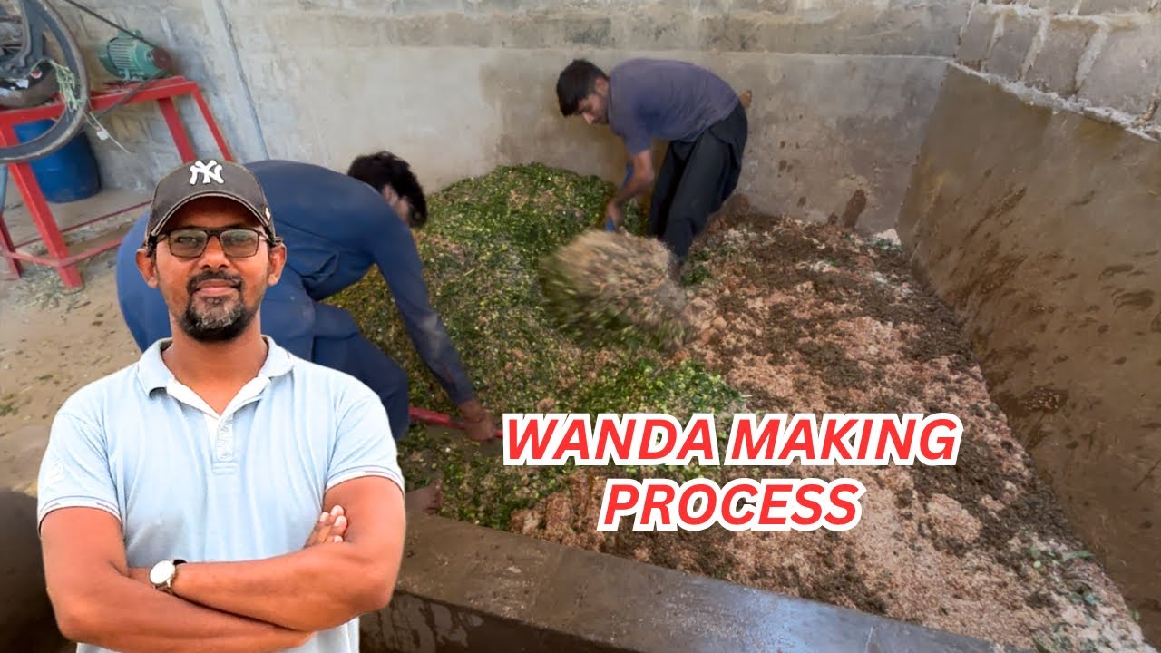 Wanda Making Process Dost Cattle Farm