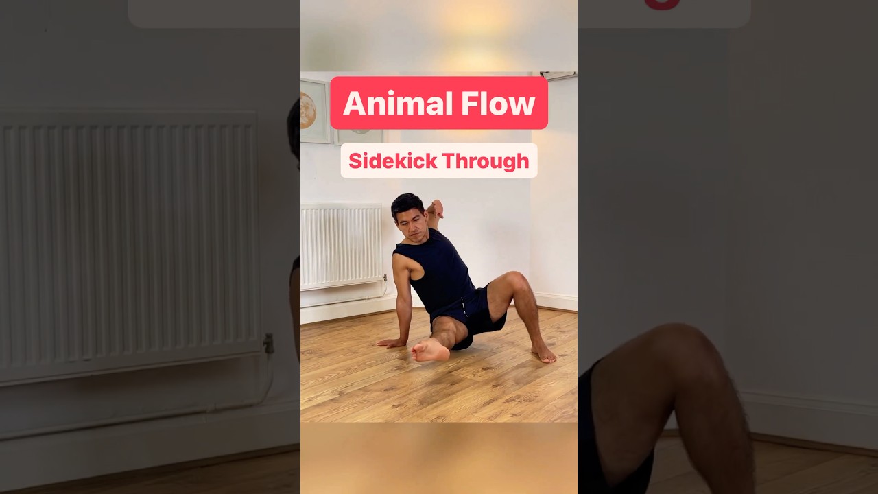 Animal Flow - Sidekick Through 