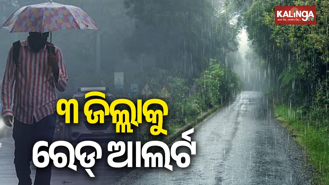 IMD issues red alert to three districts of Odisha for heavy to very heavy rainfall | Kalinga TV