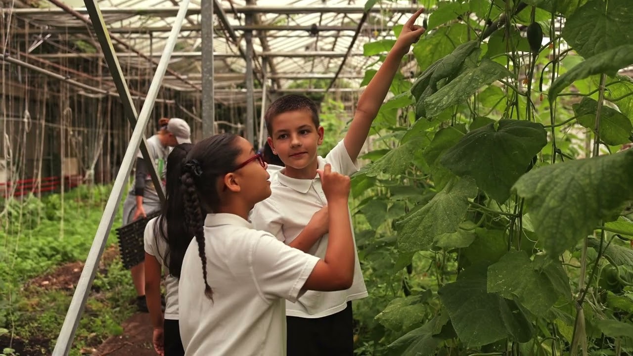 Beacon Farms: Bringing Learning to Life